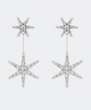 Crystal star drop Earrings